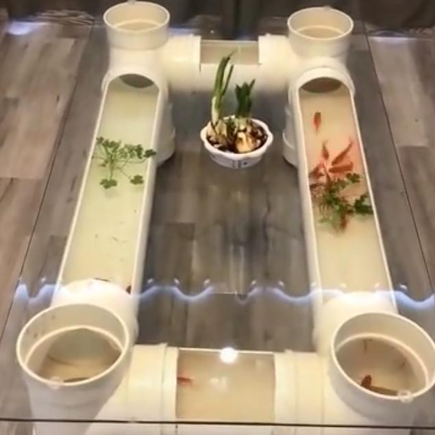 何时才能走到初恋