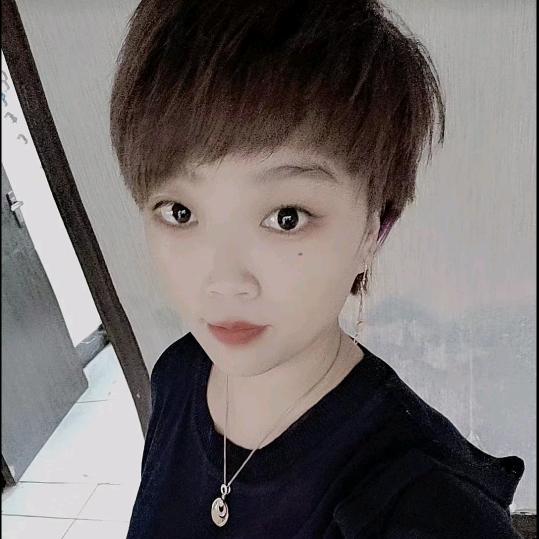 高贵的向日葵