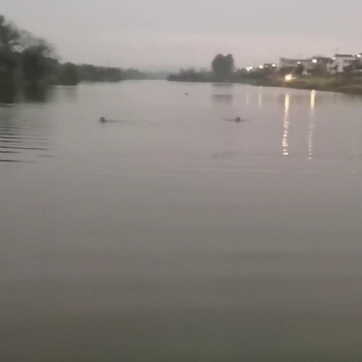 紫川