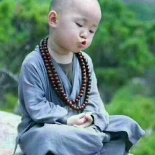 龙哥（单身哥）