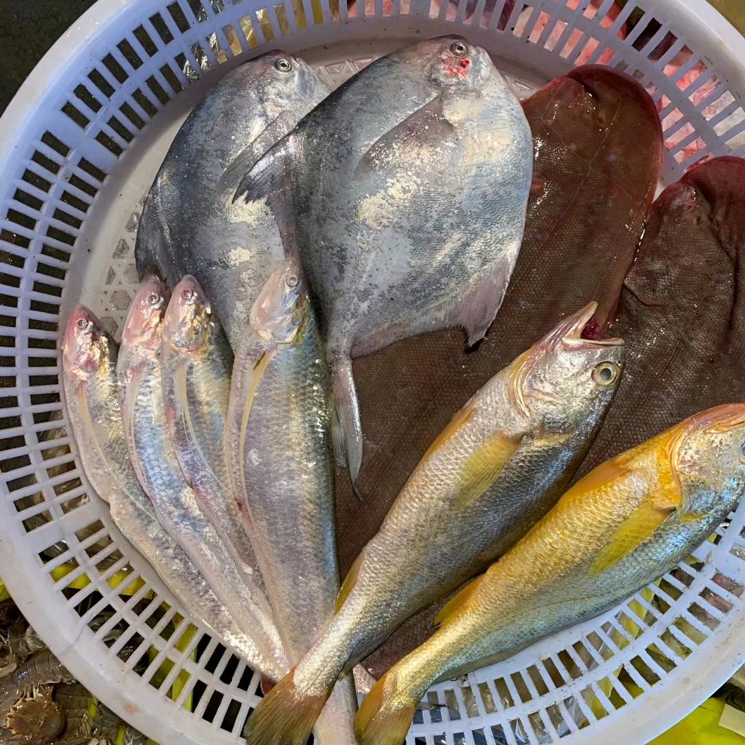 启东壹鲜水产