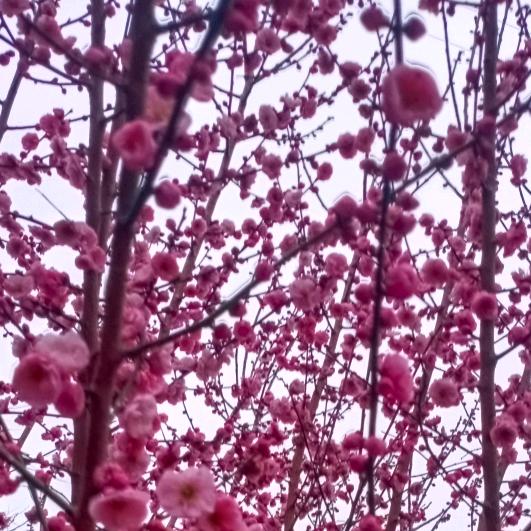 🌞🌞小朱🌞🌞