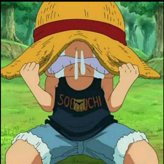 叫什么名字来着