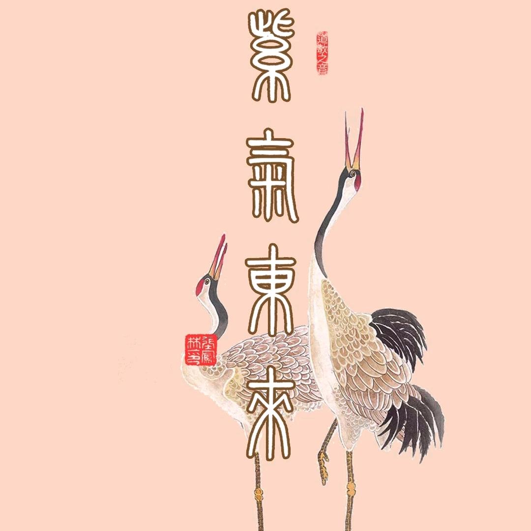白玉