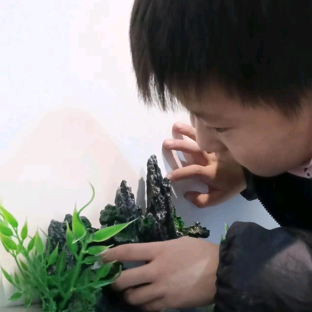 平安.喜樂