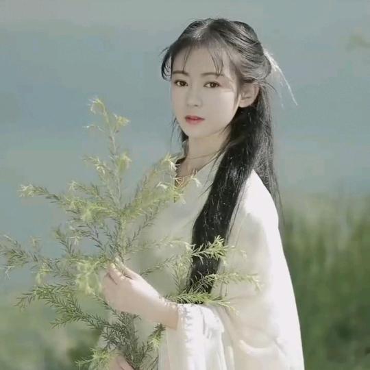 诛仙3灬妃儿