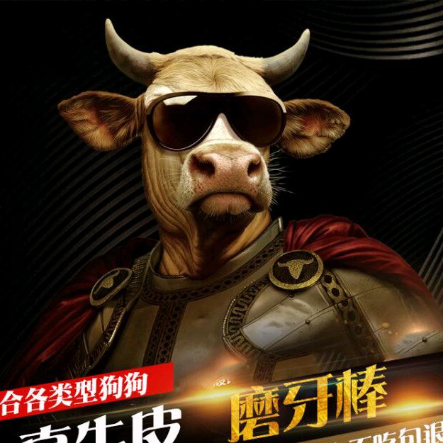 苟大爺磨牙零食店