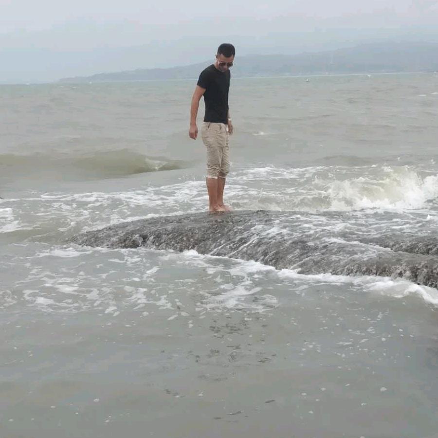 Xia星