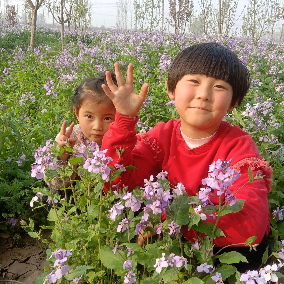 阳光下的黑暗。。