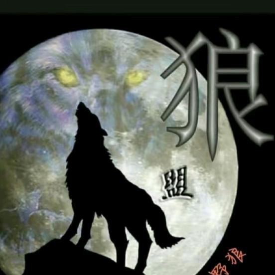 魅影骑士