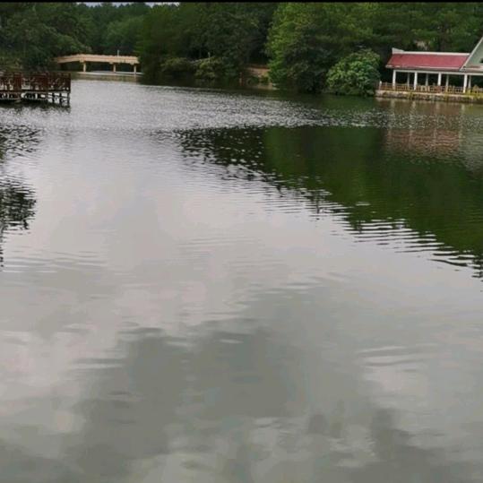 联轴器传动技术Jack