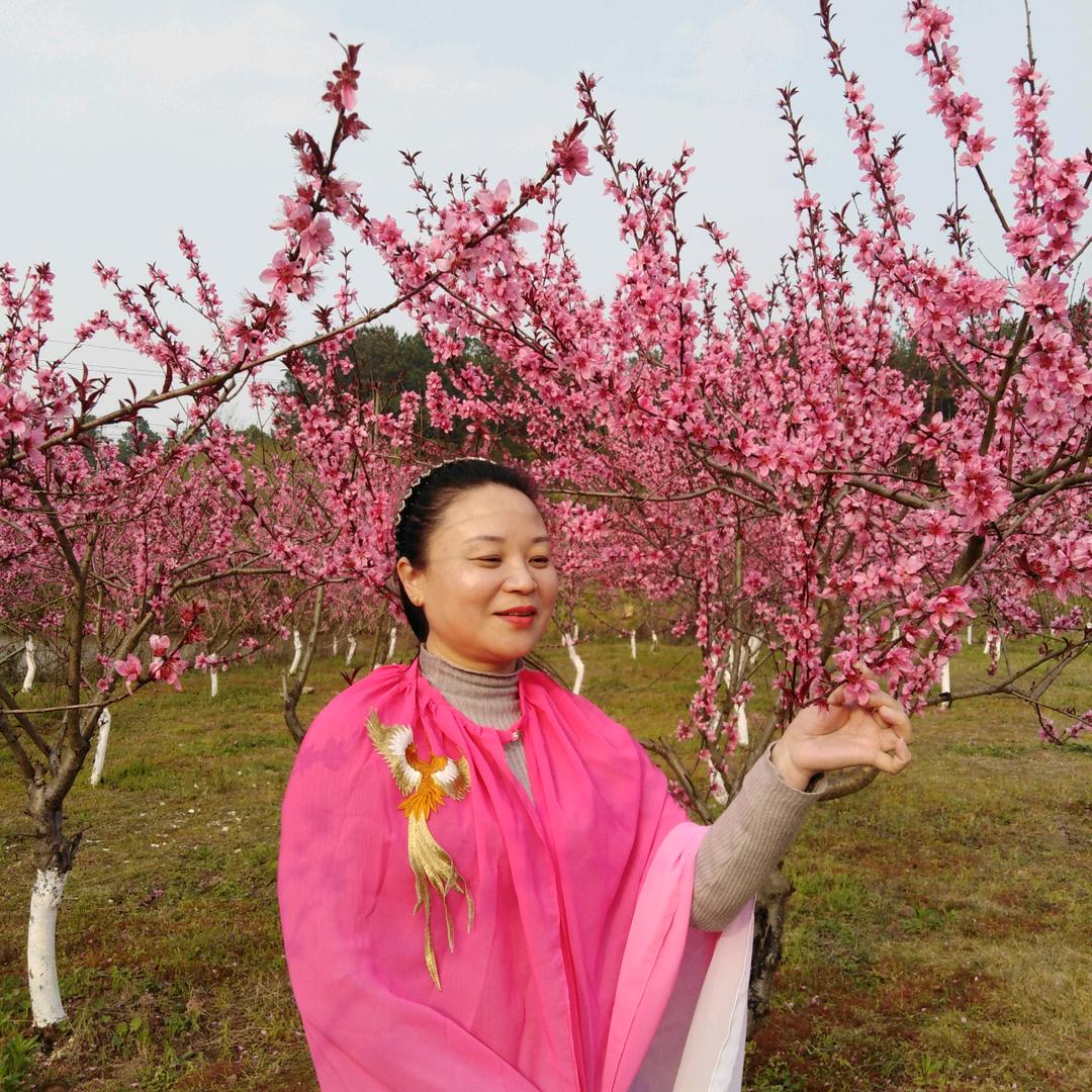 余 琴（单身福妮）