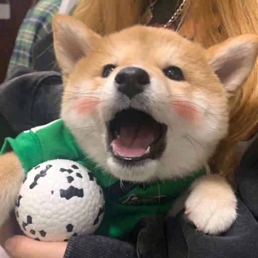 一丶