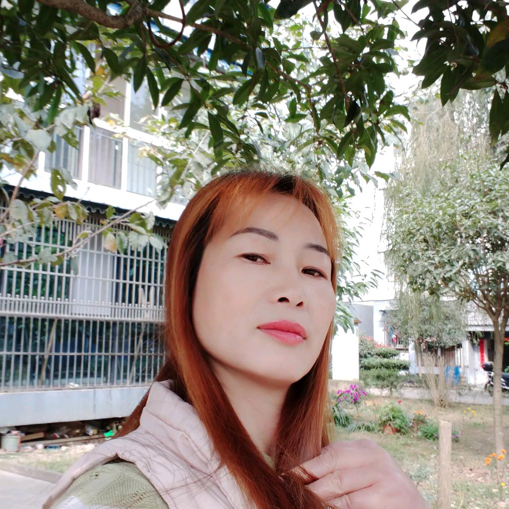 清茶单身