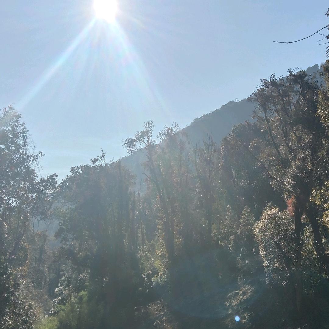 土农夫跑车！丶