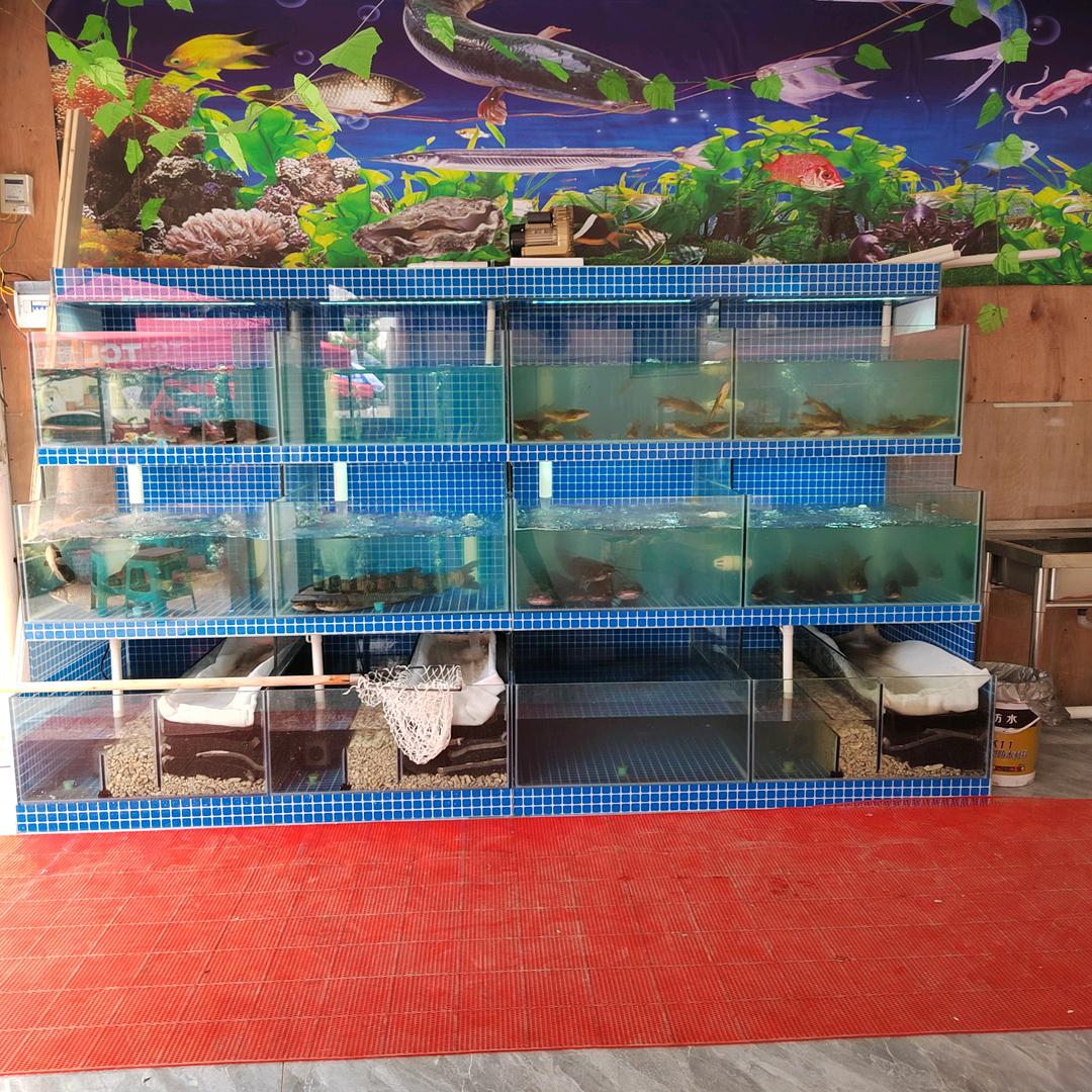 小赵  水产  海鲜