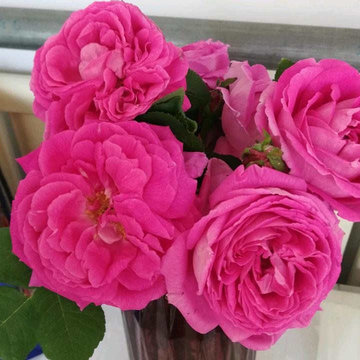 幸福一生❤