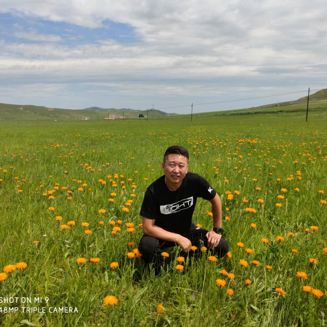 兴安盟杭盖草原桃合木牛羊肉店