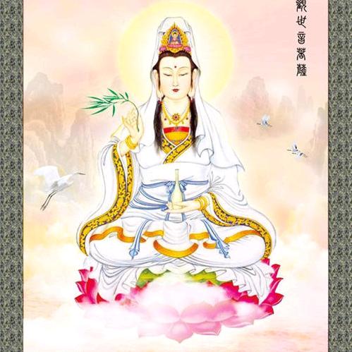 青州短视频图文
