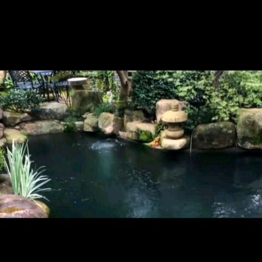 鑫诚原林