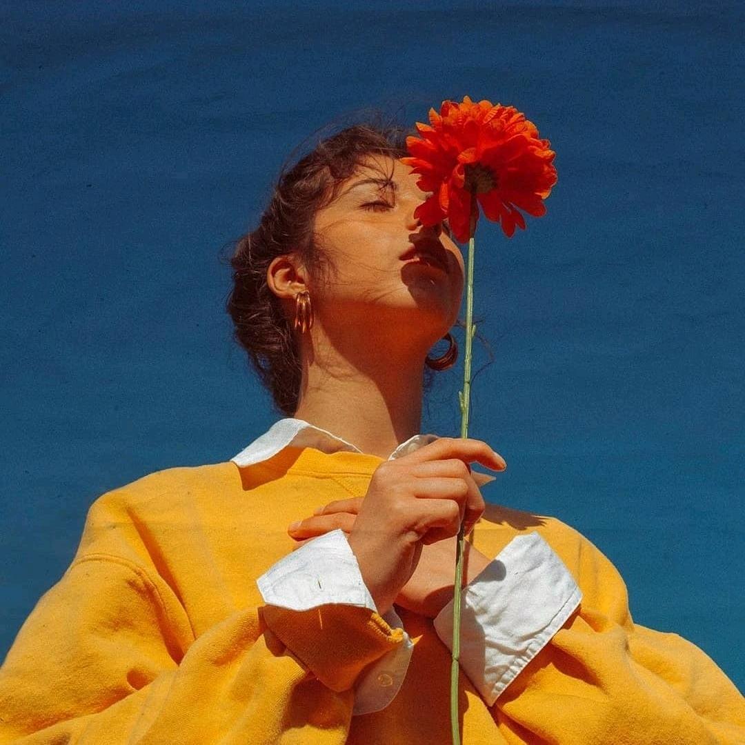 化而为鸟其名为彭女士