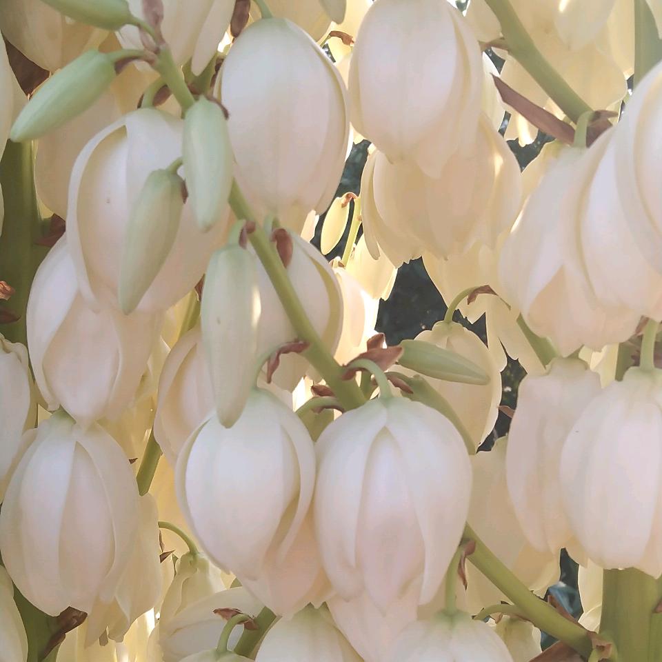 有你真好🙂😃