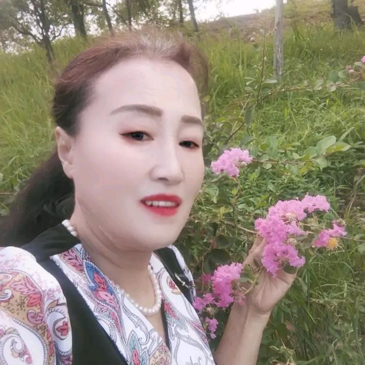 枫叶飘飘