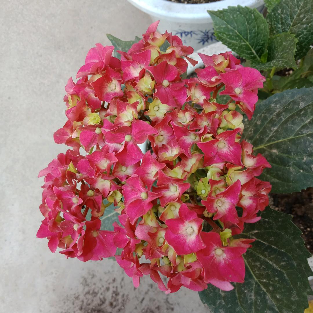 春风知我意