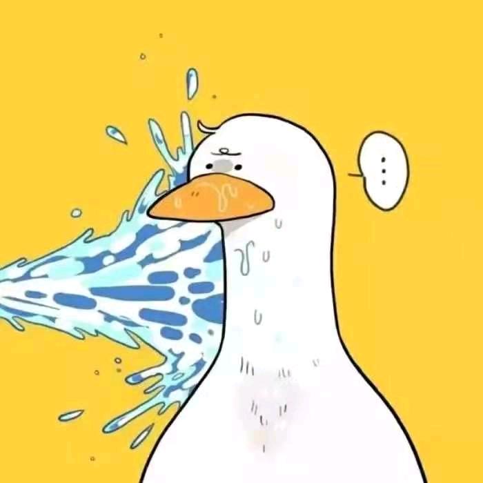 沃沃头