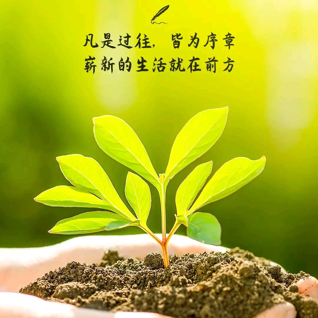 但行好事，莫问前程。