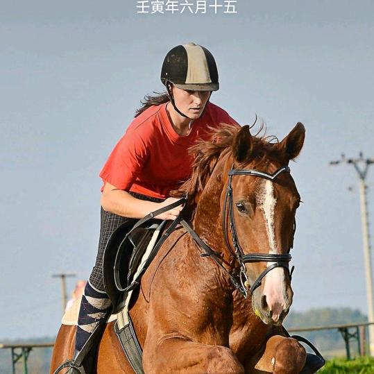 静心！