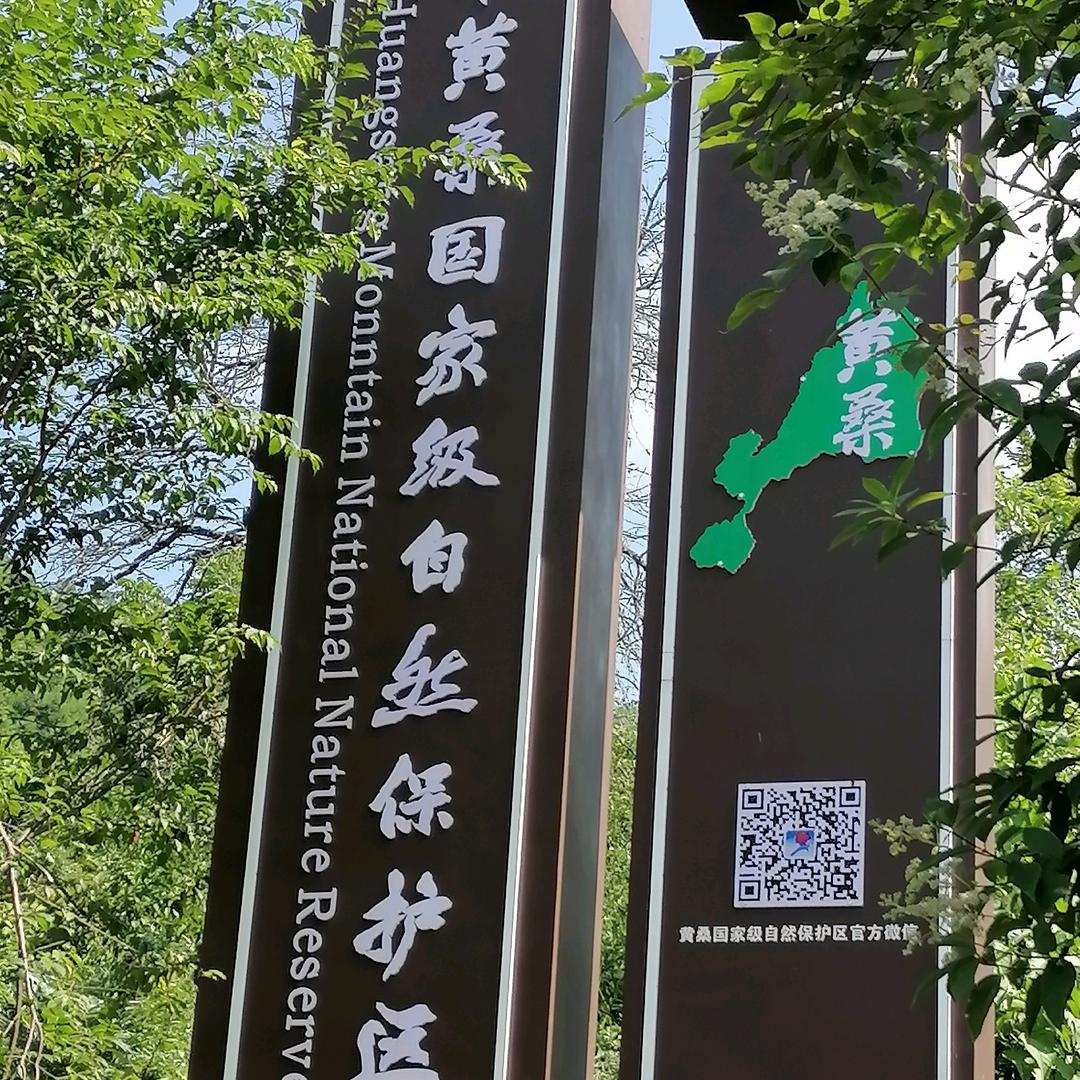 静心养身