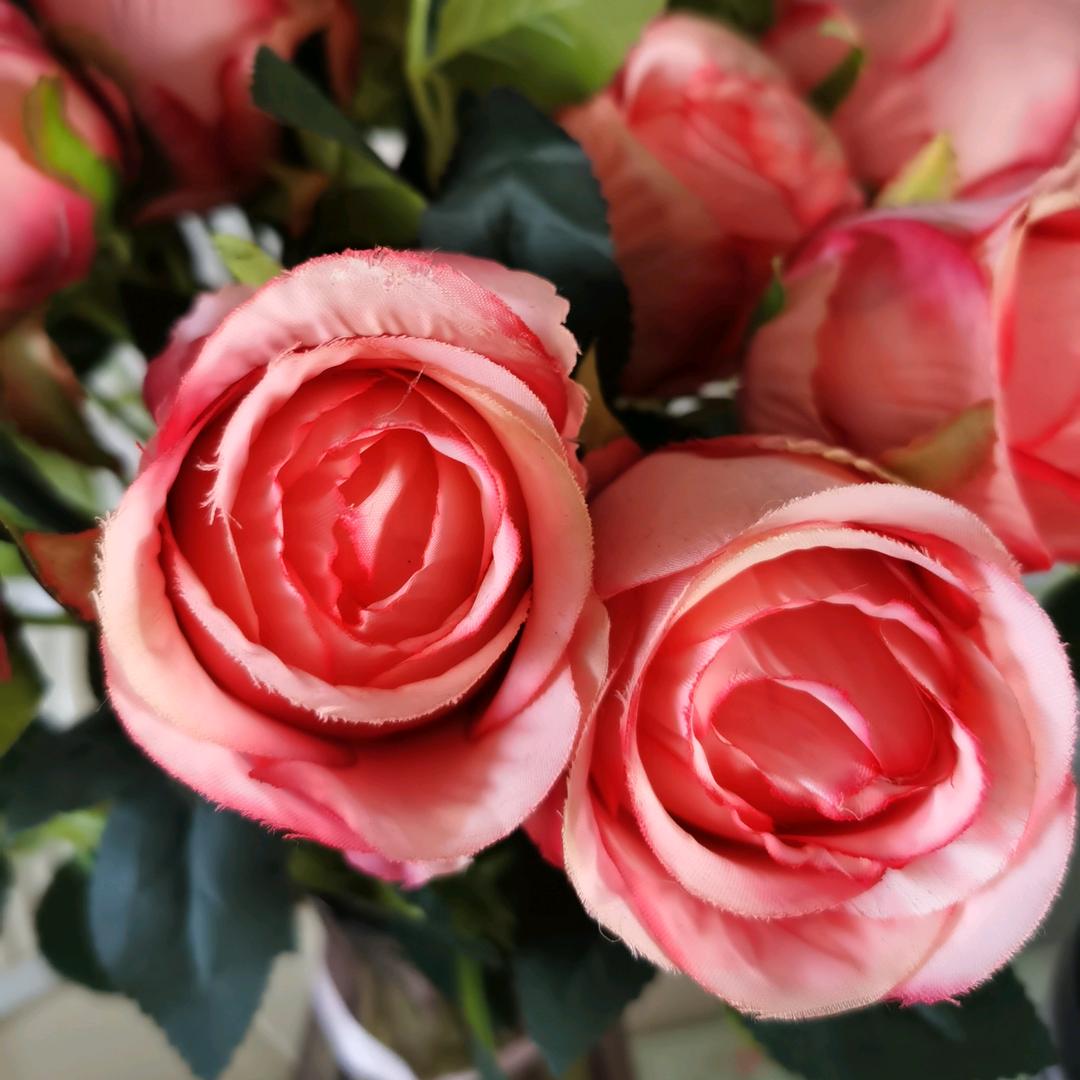 好运常伴 🌹🌹🌹