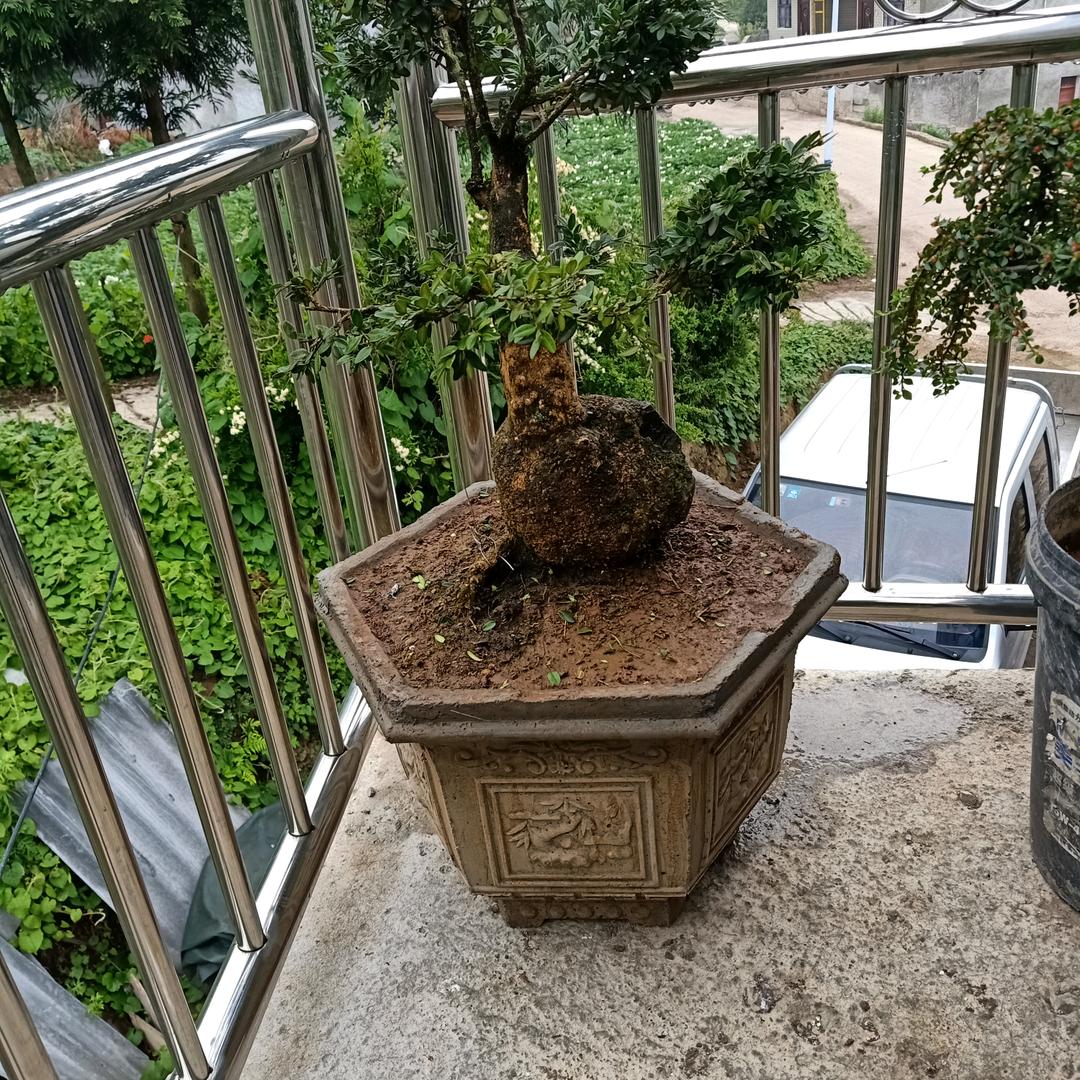 何洪军