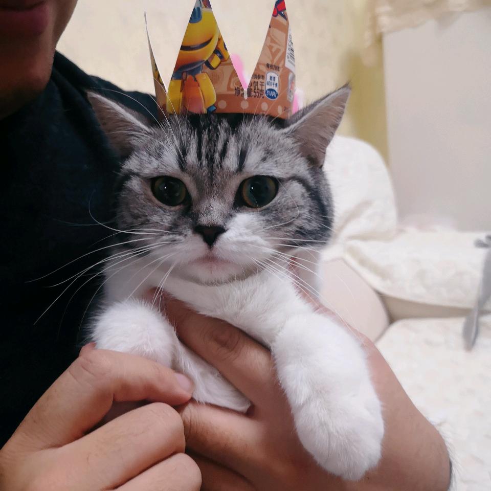 凉皮动漫手办潮玩