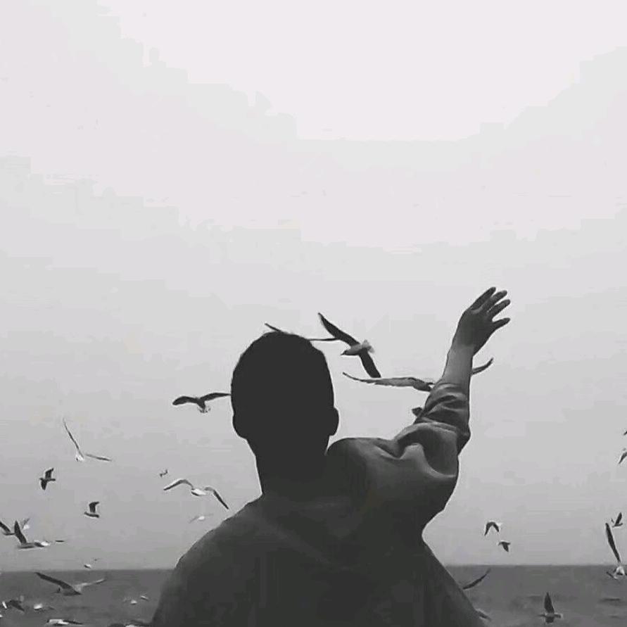 🌈呀呀个呸