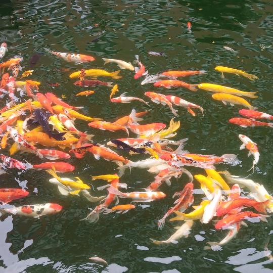 山中有水