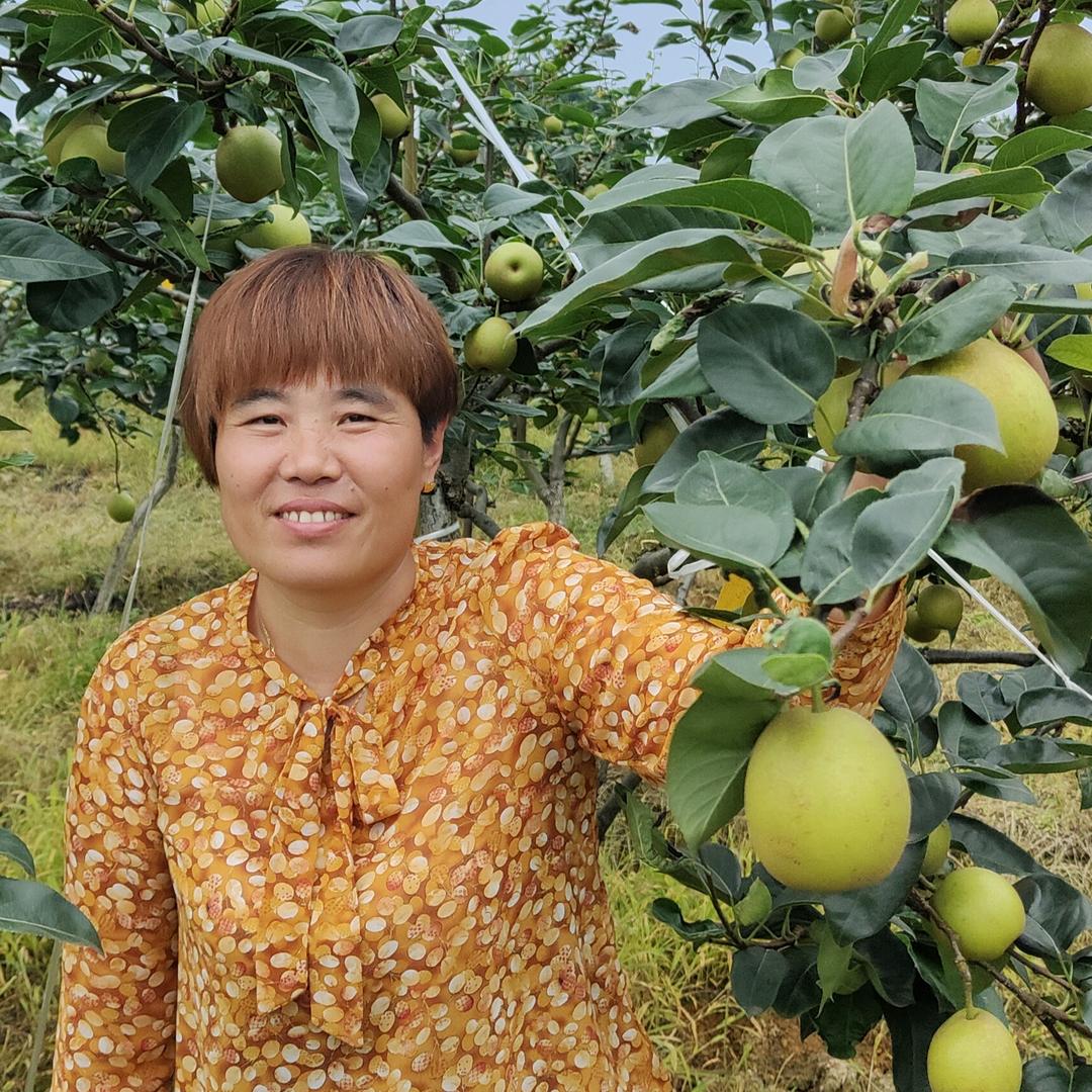敏姐