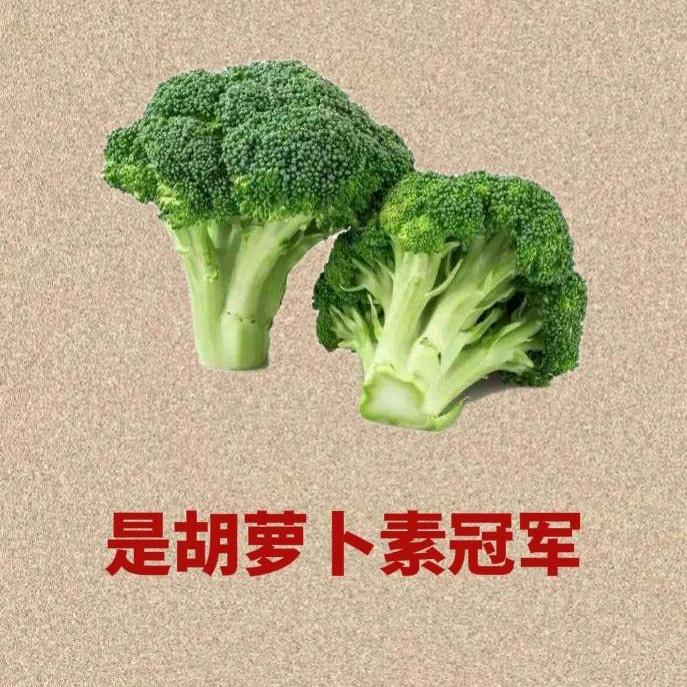 韵意