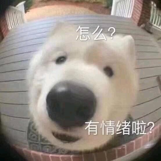 土豆地里挖啊挖