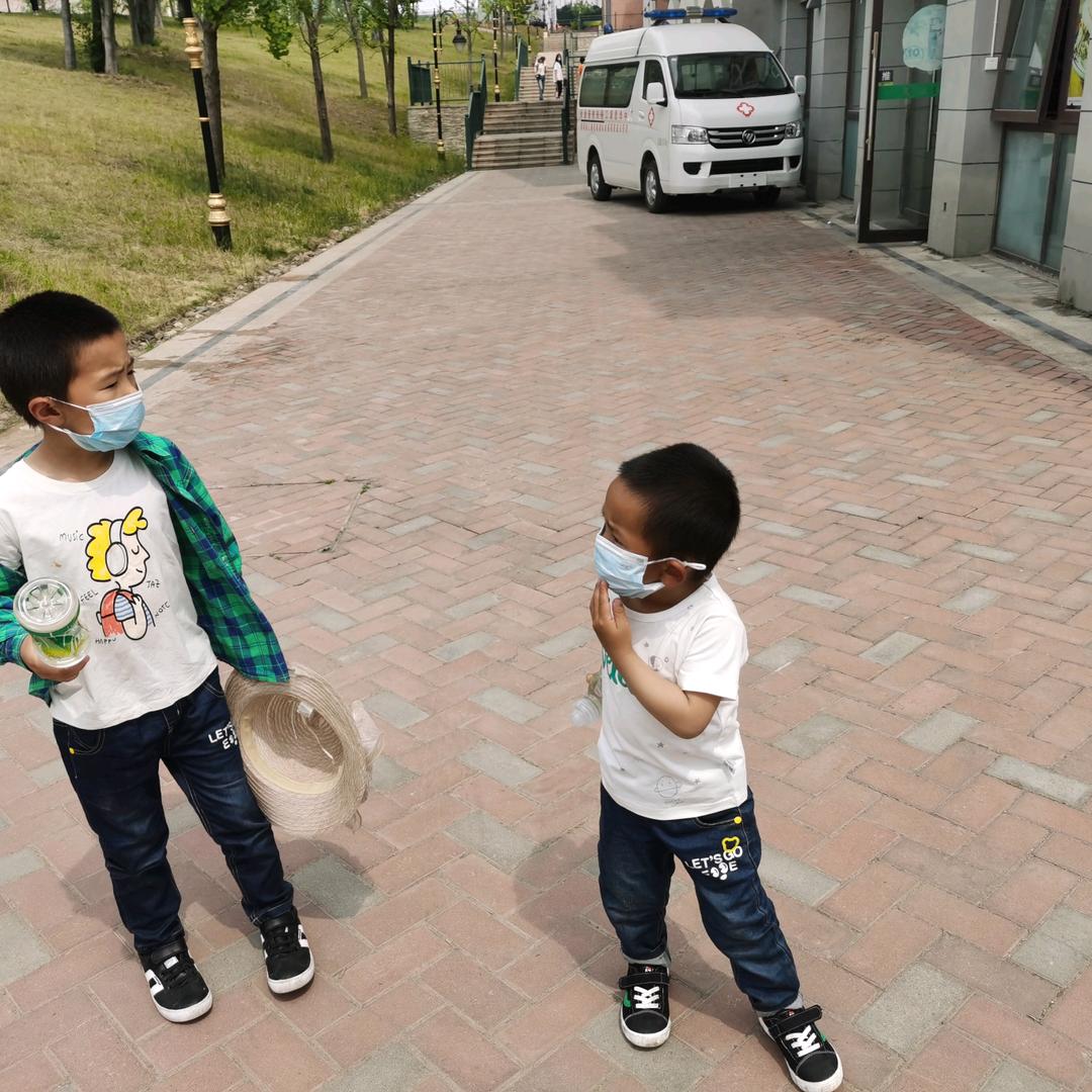 毛毛（73131—51）