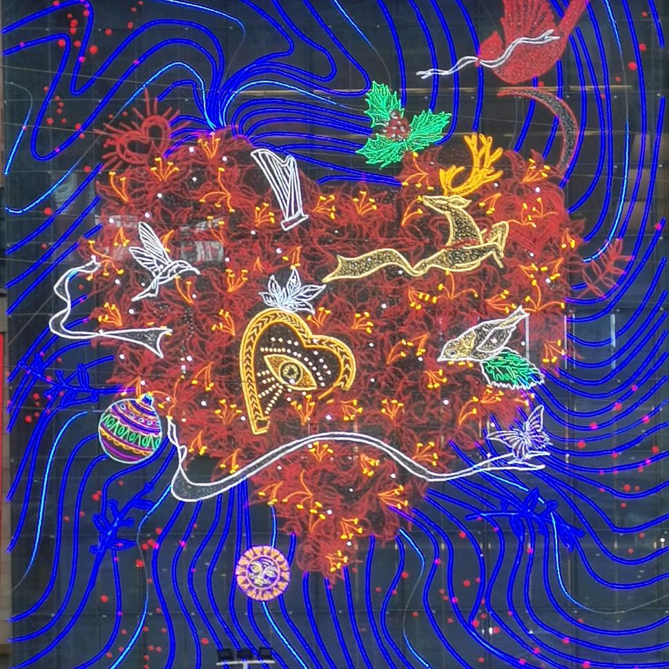 南宁火凤凰