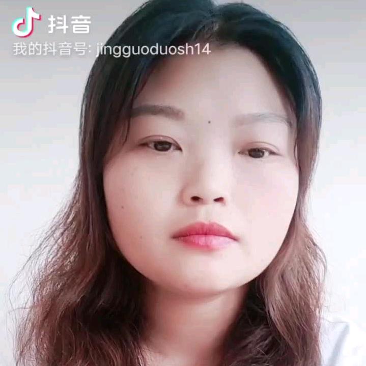 冬菊