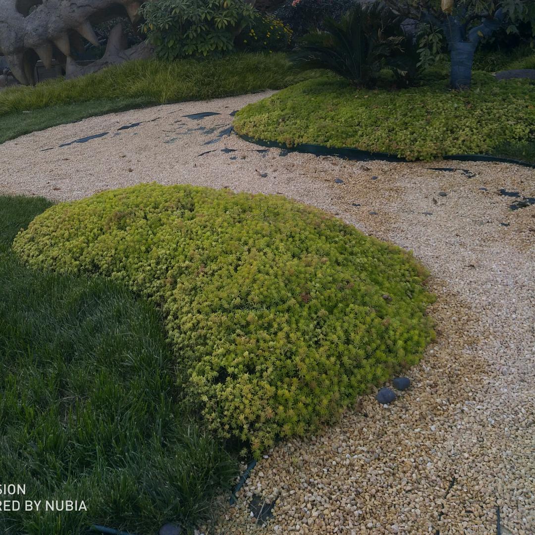 世界，你好呀！