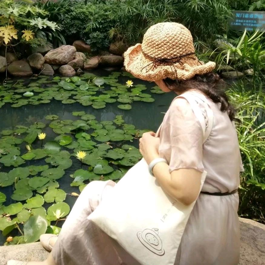 心语《手机摄影》