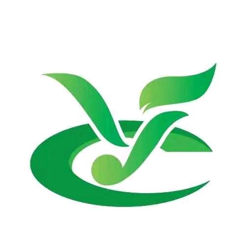 香椿哥