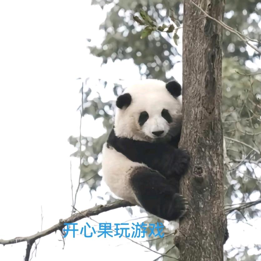 开心果玩游戏