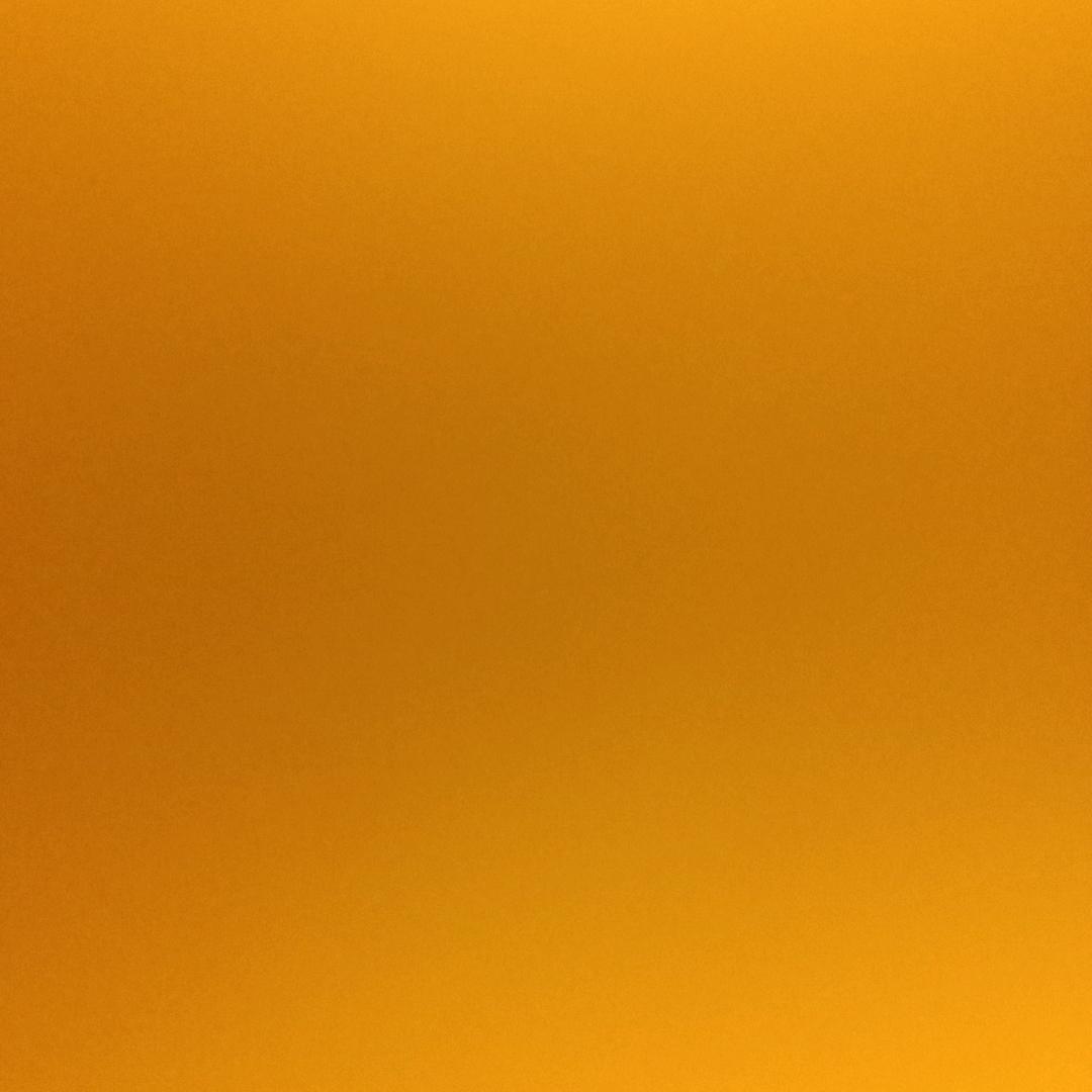 仲语晨