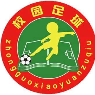 校园 football
