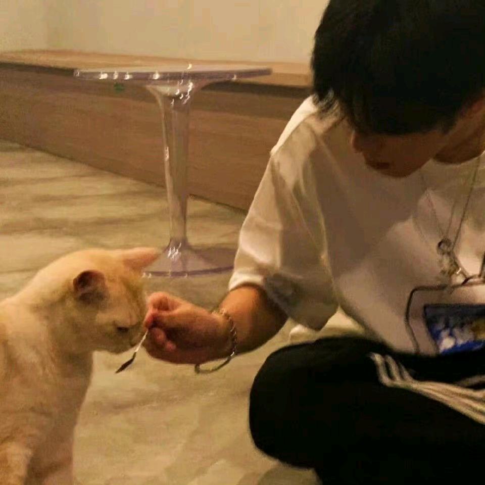 Koi 清翊